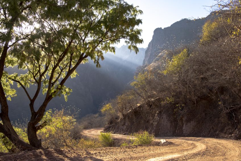 Northern Mexico and the Copper Canyon